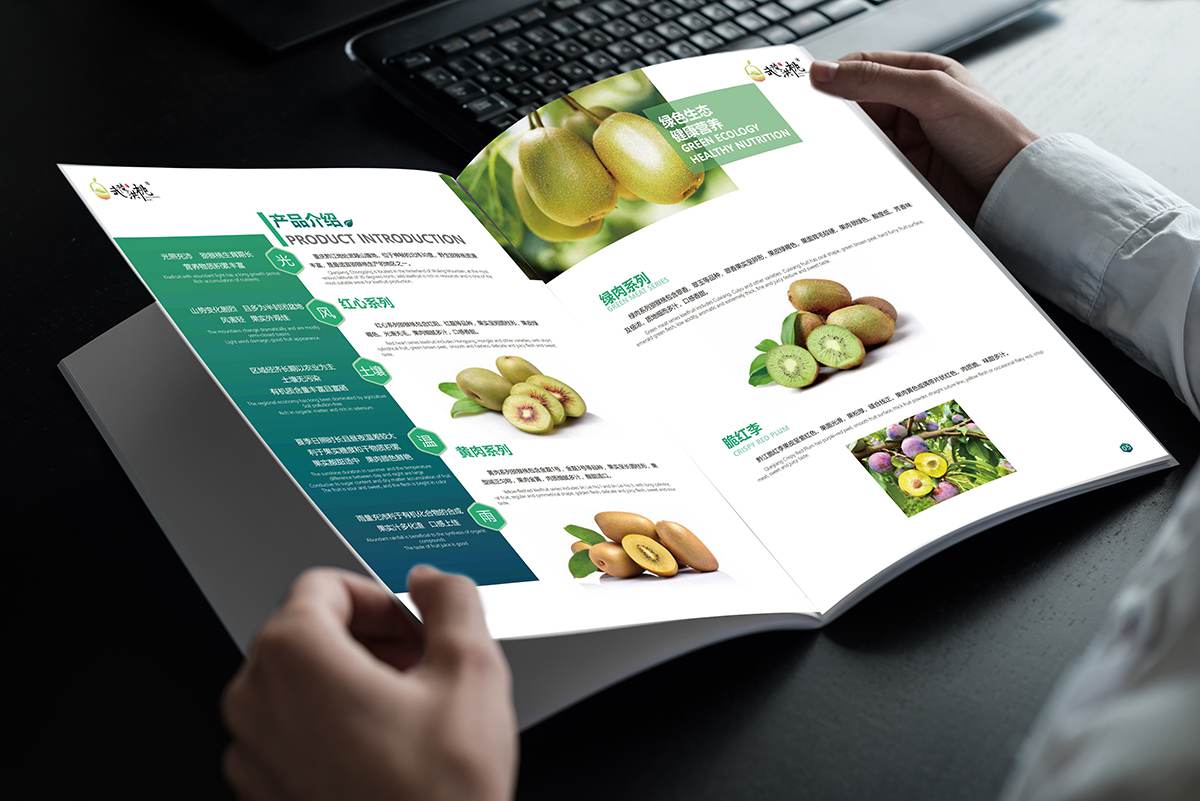 高台如何制作吸引眼球的宣传册